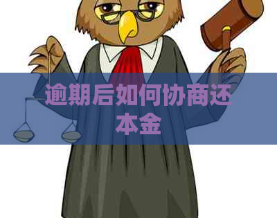 逾期后如何协商还本金