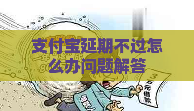 支付宝延期不过怎么办问题解答