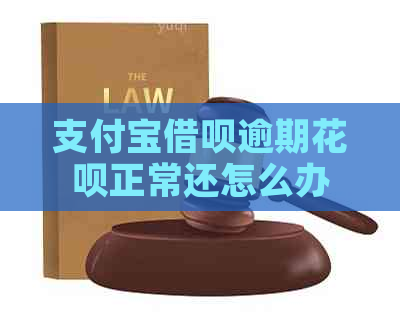 支付宝借呗逾期花呗正常还怎么办