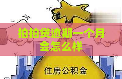 逾期一个月会怎么样