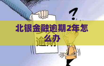 北银金融逾期2年怎么办