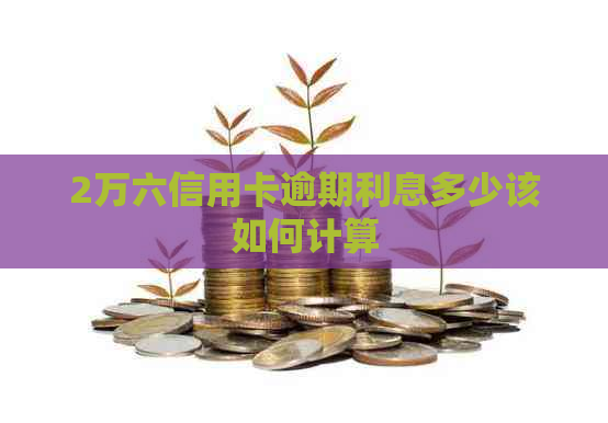 2万六信用卡逾期利息多少该如何计算