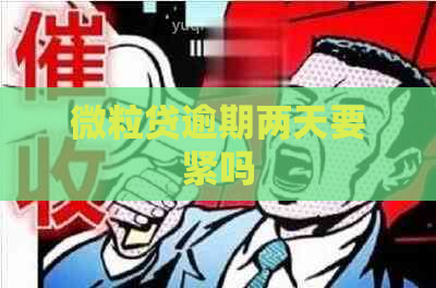 微粒贷逾期两天要紧吗