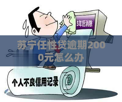 苏宁任性贷逾期2000元怎么办