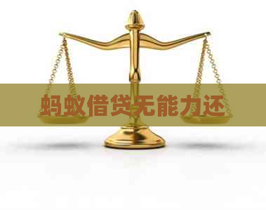 蚂蚁借贷无能力还