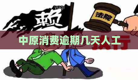 中原消费逾期几天人工