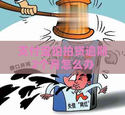 支付宝逾期2个月怎么办