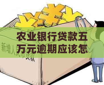 农业银行贷款五万元逾期应该怎么处理