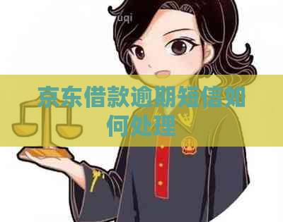 京东借款逾期短信如何处理