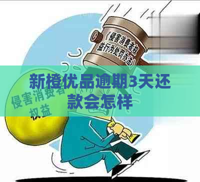 新橙优品逾期3天还款会怎样