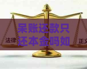 呆账还款只还本金吗如何处理利息和手续费