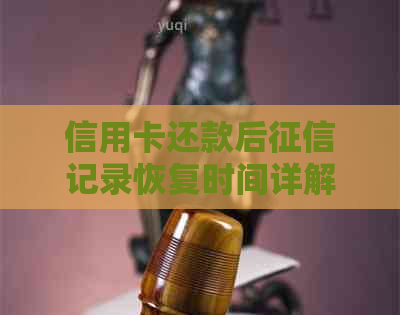 信用卡还款后记录恢复时间详解：多久能显示已还清款项？