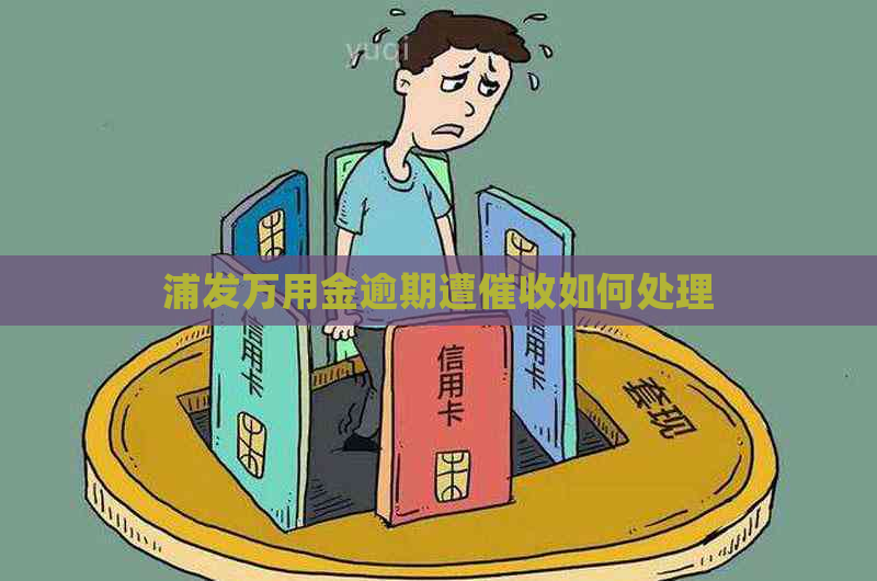 浦发万用金逾期遭如何处理