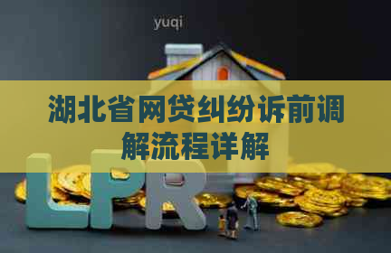 湖北省网贷纠纷诉前调解流程详解