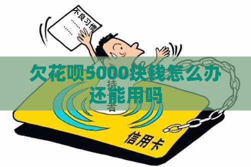 欠花呗5000块钱怎么办还能用吗