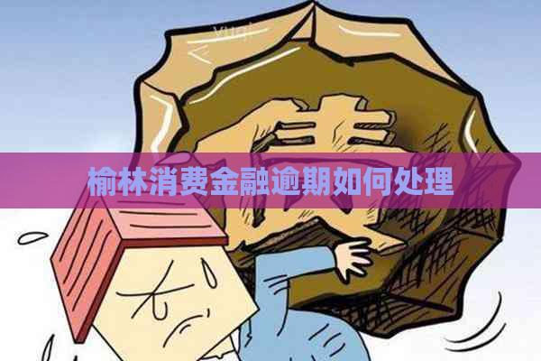 榆林消费金融逾期如何处理