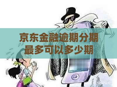 京东金融逾期分期最多可以多少期