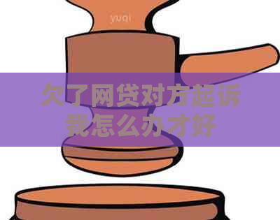 欠了网贷对方起诉我怎么办才好