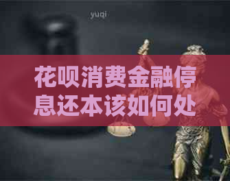 花呗消费金融停息还本该如何处理