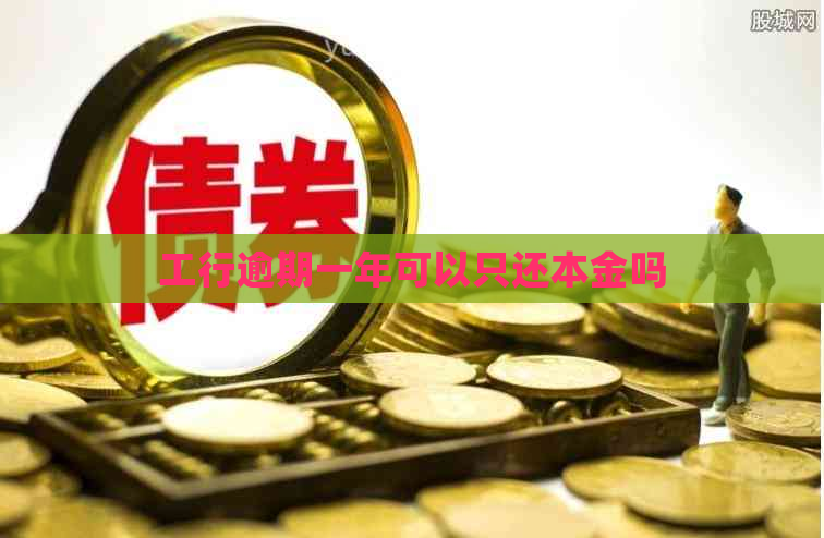 工行逾期一年可以只还本金吗