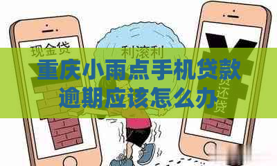 重庆小雨点手机贷款逾期应该怎么办