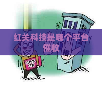 红关科技是哪个平台