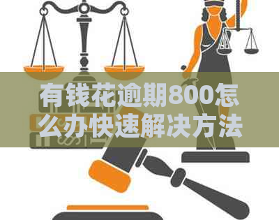 有钱花逾期800怎么办快速解决方法