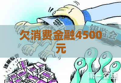 欠消费金融4500元