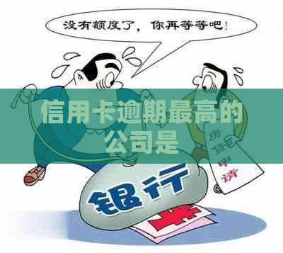 信用卡逾期更高的公司是