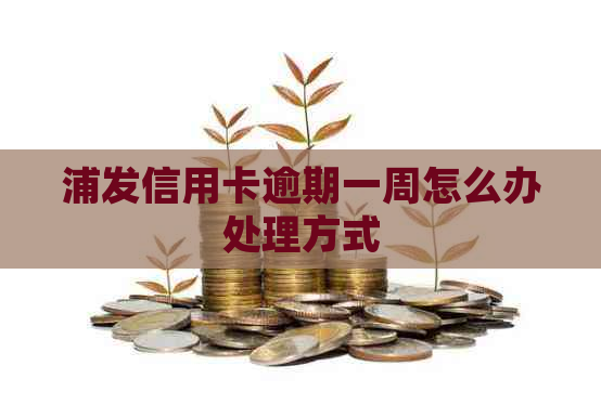 浦发信用卡逾期一周怎么办处理方式