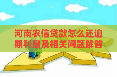 河南农信贷款怎么还逾期利息及相关问题解答