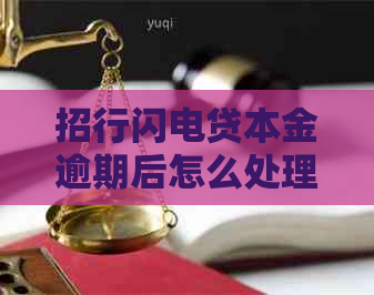 招行闪电贷本金逾期后怎么处理