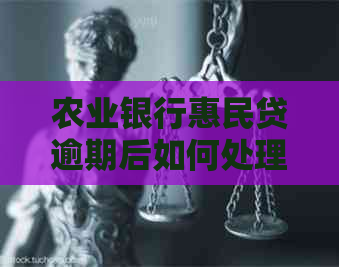 农业银行惠民贷逾期后如何处理