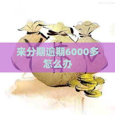 来分期逾期6000多怎么办