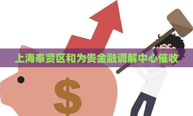 上海奉贤区和为贵金融调解中心