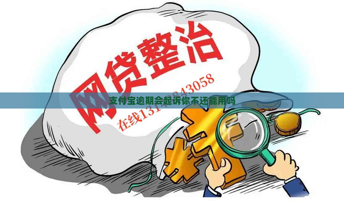 支付宝逾期会起诉你不还能用吗