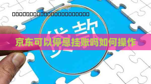 京东可以停息挂账吗如何操作