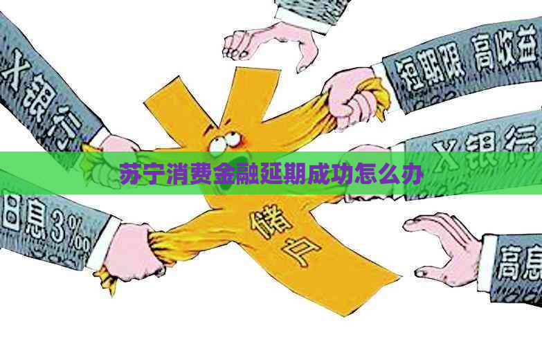 苏宁消费金融延期成功怎么办