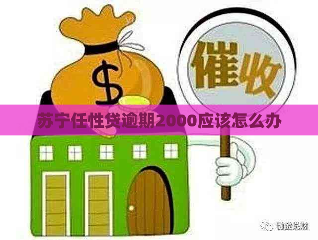 苏宁任性贷逾期2000应该怎么办