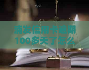 浦发信用卡逾期100多天了怎么办