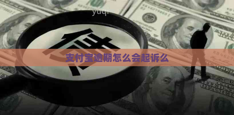 支付宝逾期怎么会起诉么