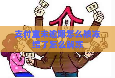 支付宝未逾期怎么被冻结了怎么解冻