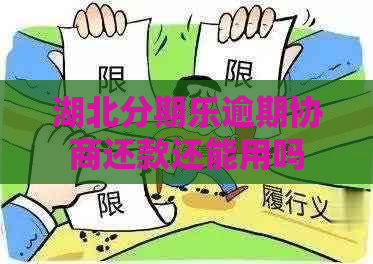 湖北逾期协商还款还能用吗