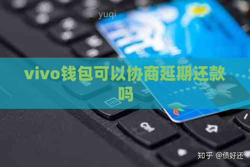 vivo钱包可以协商延期还款吗