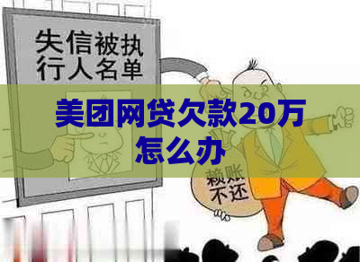 美团网贷欠款20万怎么办