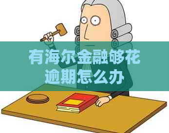 有海尔金融够花逾期怎么办