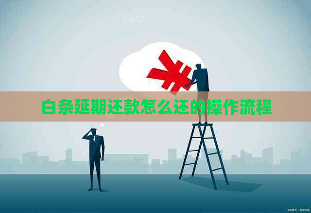 白条延期还款怎么还的操作流程