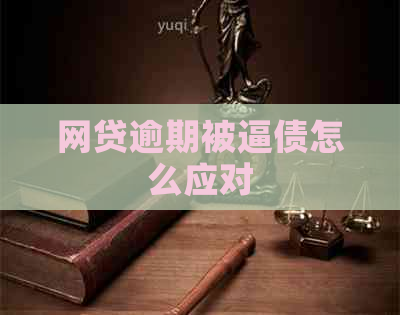 网贷逾期被逼债怎么应对