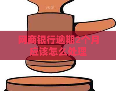 网商银行逾期2个月应该怎么处理