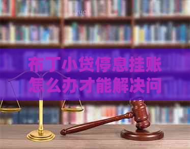 布丁小贷停息挂账怎么办才能解决问题